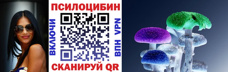 Галлюциногенные грибы Psilocybine cubensis  как найти закладки  Шали 