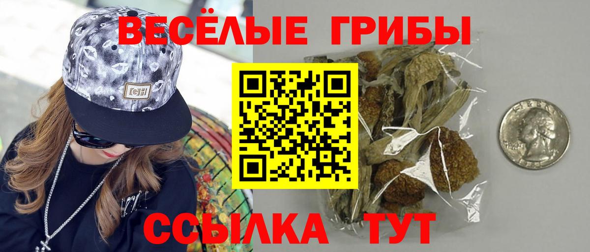Шали  Псилоцибиновые грибы ЛСД  Вход с VPN 