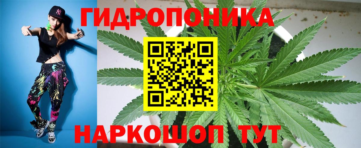 Шишки марихуана индика Шали